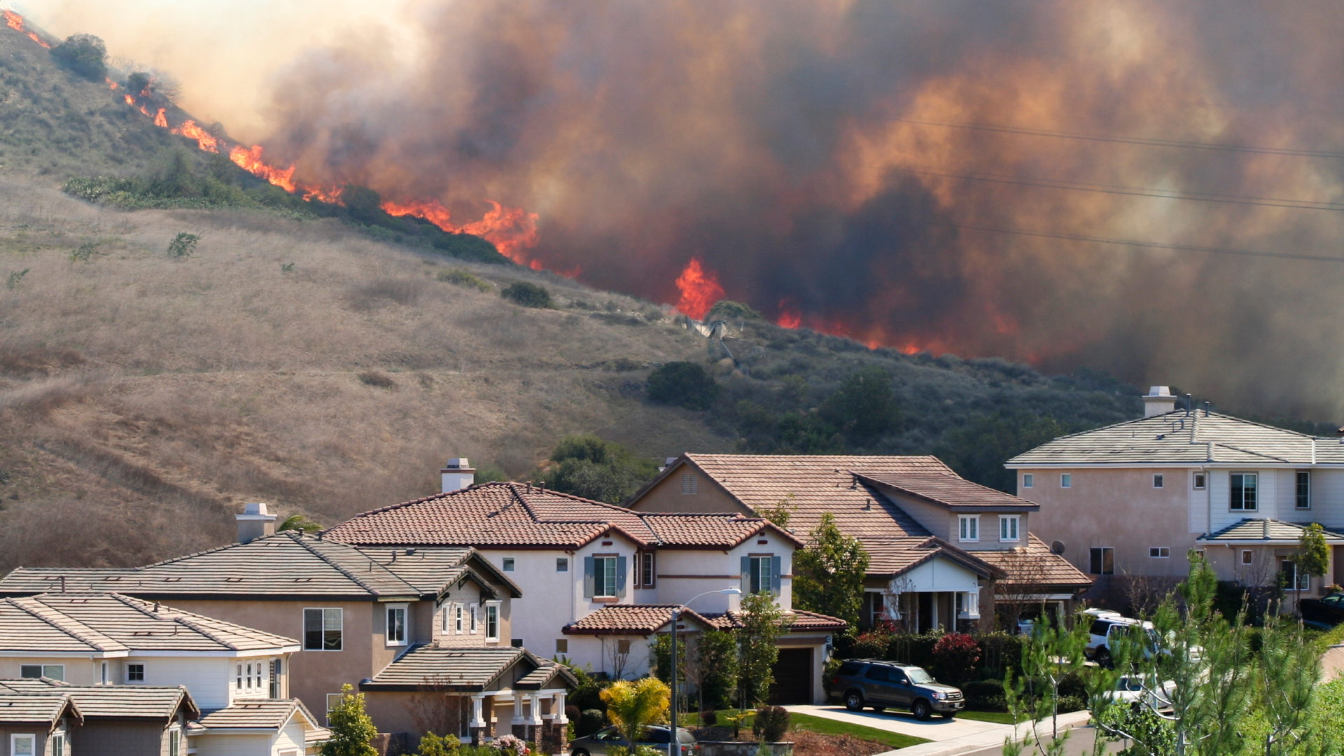 Bushfire Protection 